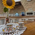 Il Girasole -with Garden- Апартаменты