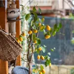 Il Girasole -with Garden- Апартаменты
