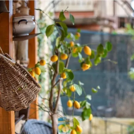 Il Girasole -with Garden- Appartamento