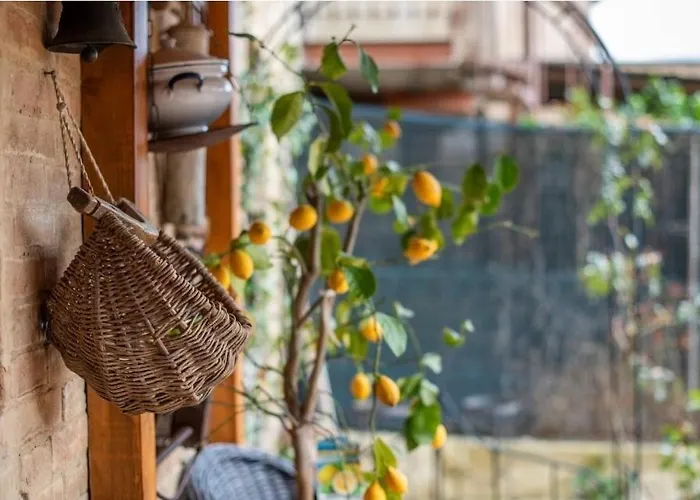 Il Girasole -with Garden- Apartamento